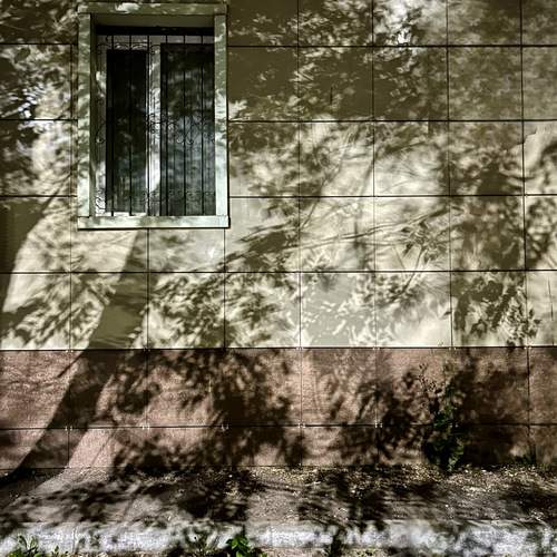 Photo #13454647