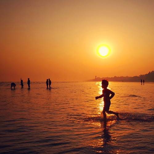 Photo #13454684