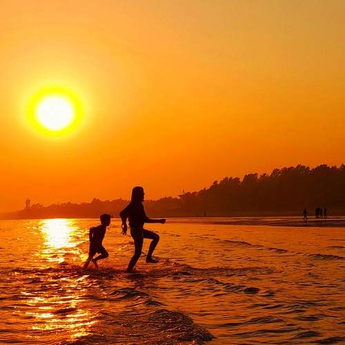 Photo #13454689
