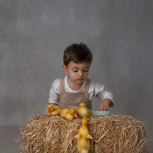 Photo #13454706