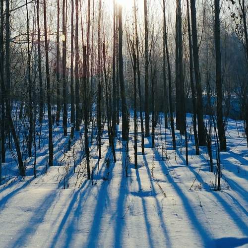 Photo #13454835