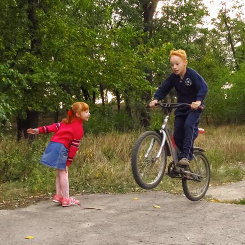 Photo #13454988