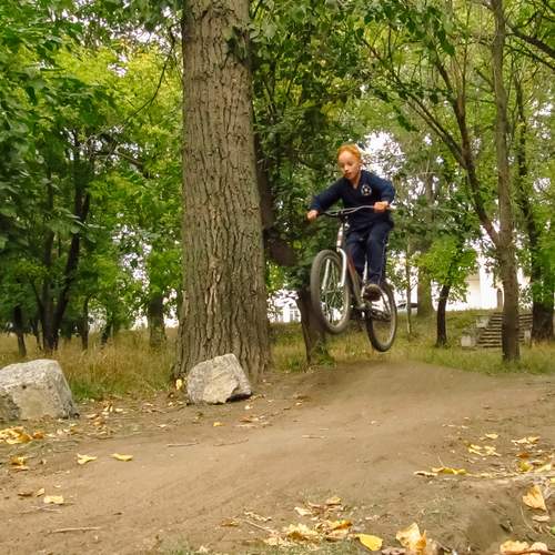 Photo #13455000