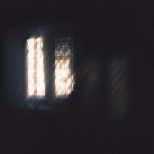 Photo #13455003