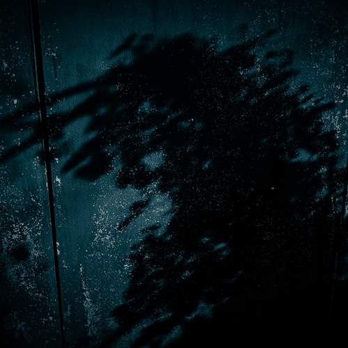 Photo #13455294