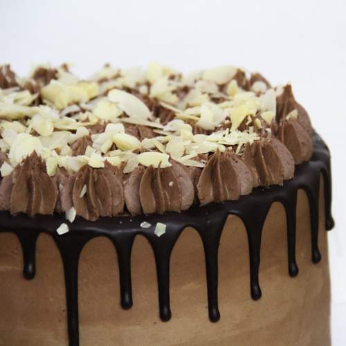 Photo #13455358