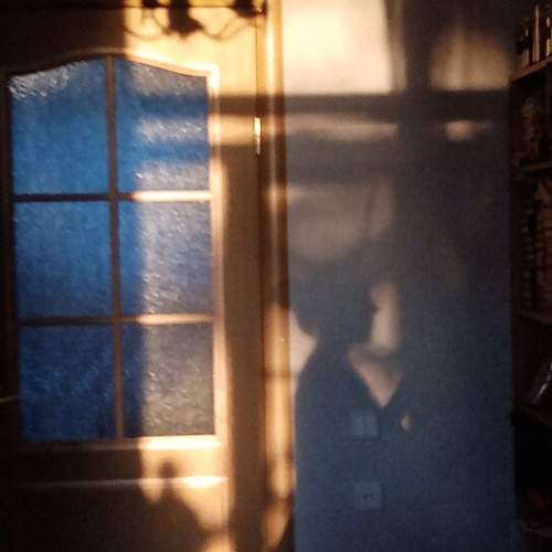 Photo #13455375
