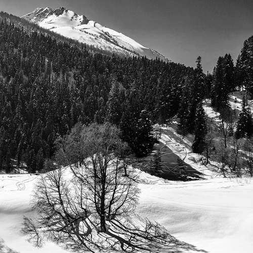 Photo #13455436
