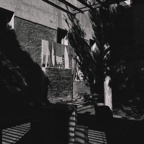 Photo #13455456