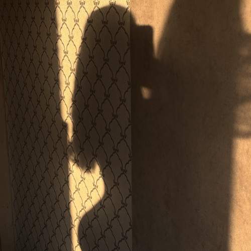 Photo #13455502
