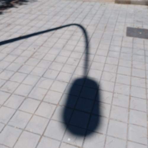 Photo #13455631