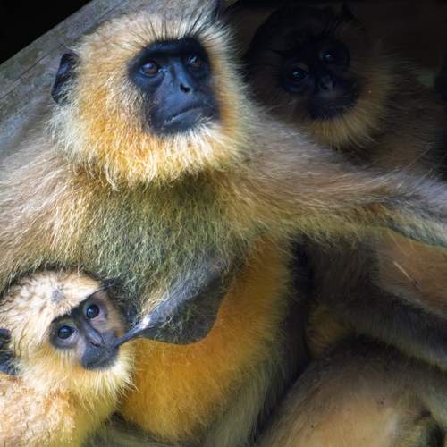 Photo #13455802