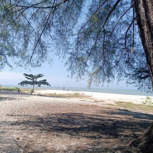 Photo #13455807