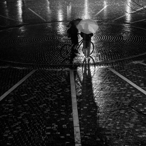 Photo #13455988