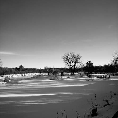 Photo #13456011