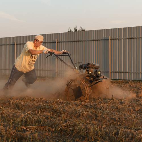 Photo #13456068