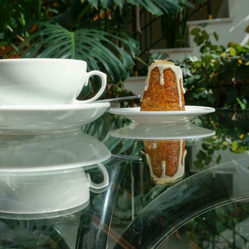 Photo #13456163