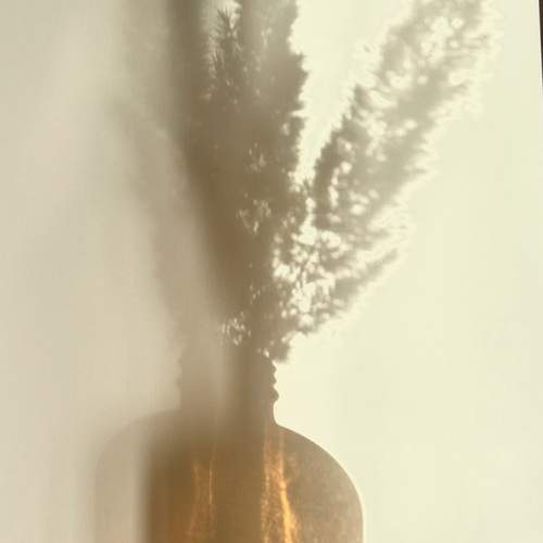 Photo #13456269