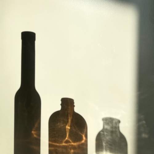 Photo #13456270