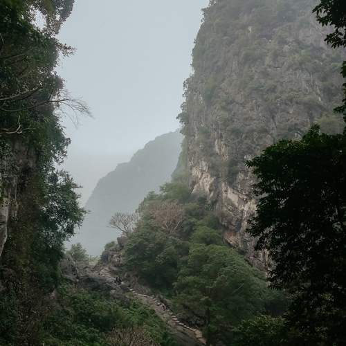 Photo #13456387