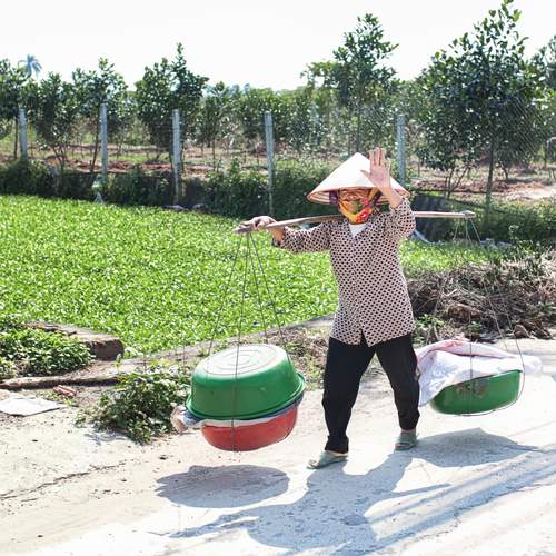 Photo #13456412