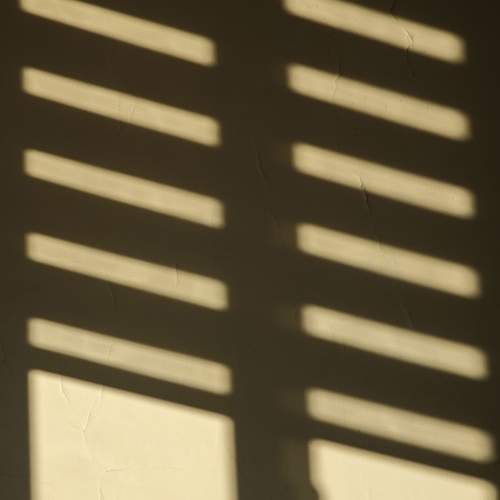 Photo #13456432