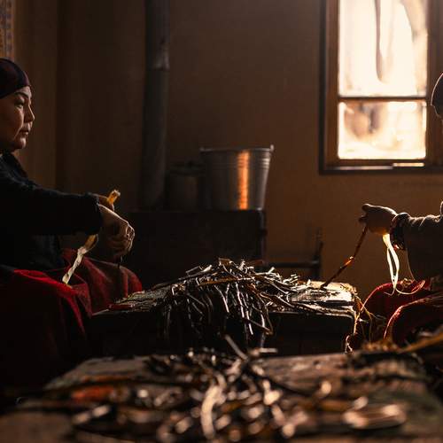 Фотография #13456706