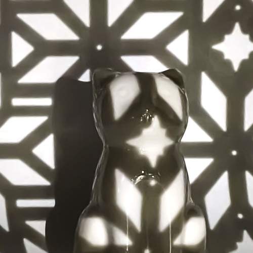 Котик в снежинках