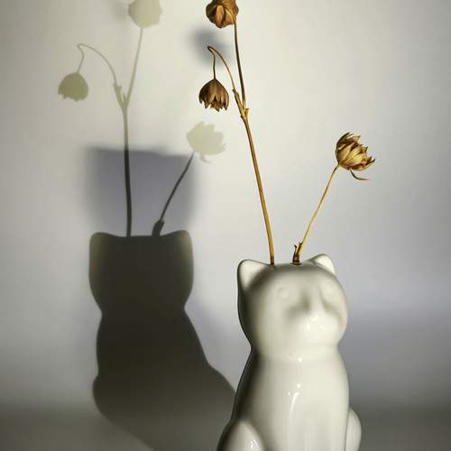 Котик с букетиком 1