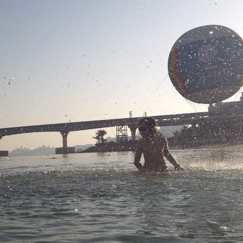 Photo #13456837