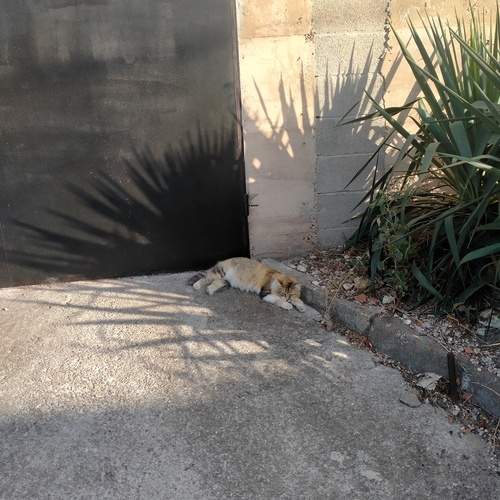 Photo #13456898