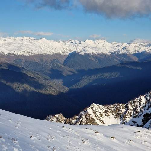 Photo #13457093