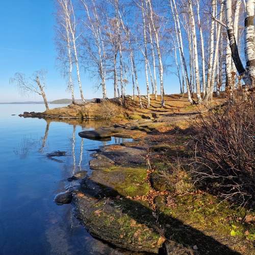 Photo #13457094