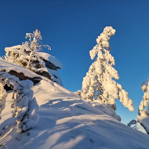 Photo #13457096