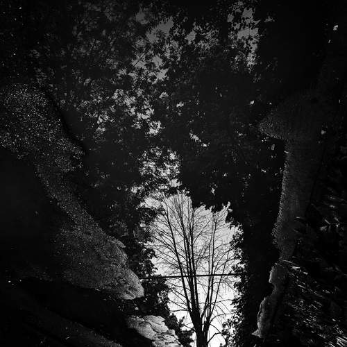 Photo #13457242
