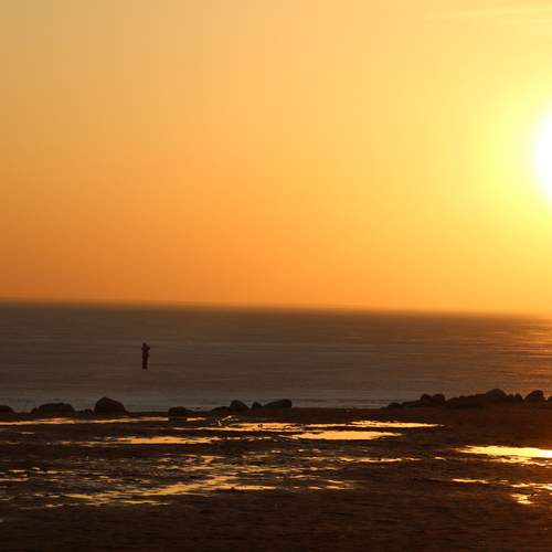 Photo #13457250