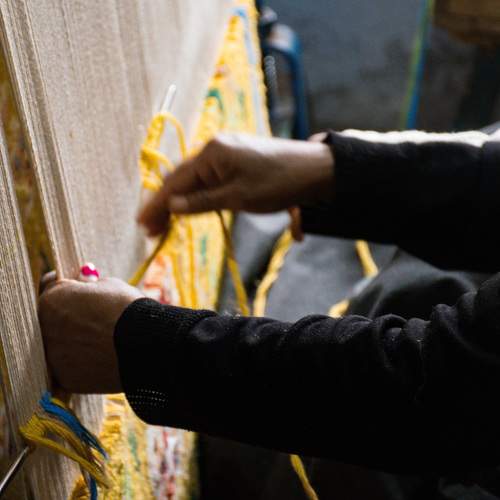 Photo #13457346