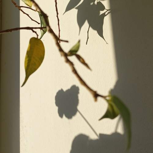 Photo #13457526