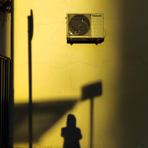 Photo #13457546