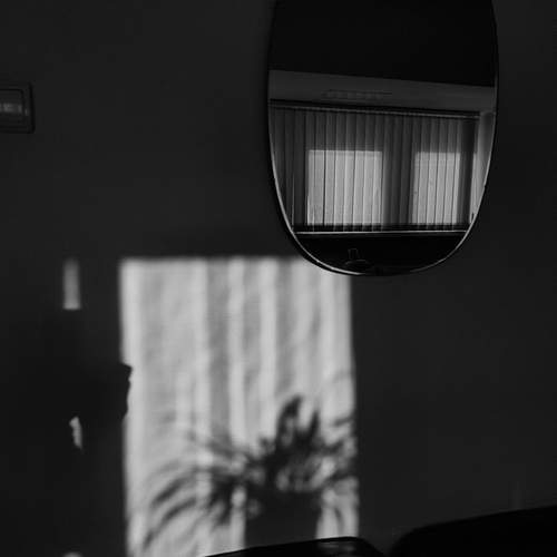 Photo #13457547