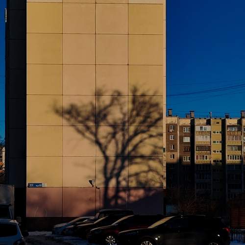 Photo #13457575