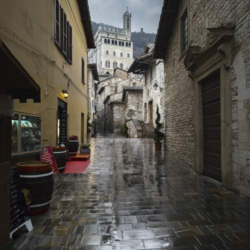 Photo #13457593