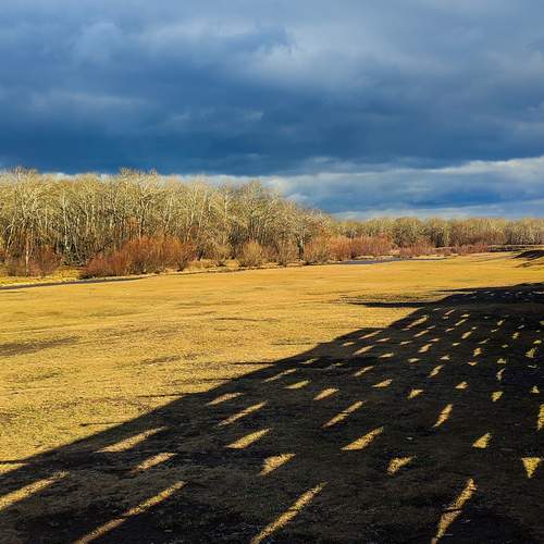 Photo #13457612