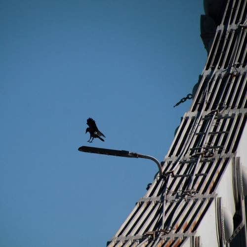Photo #13457731