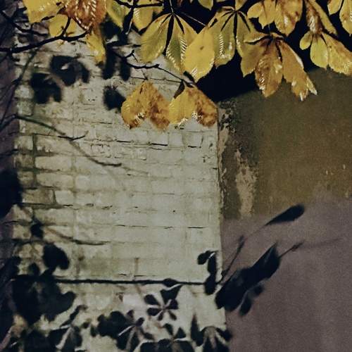 Photo #13457956