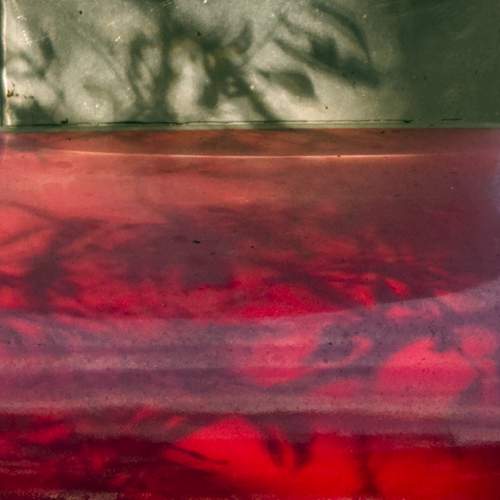 Фотография #13458267