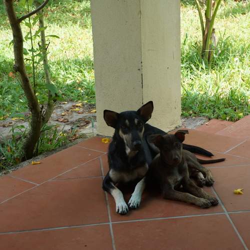 Photo #13458334