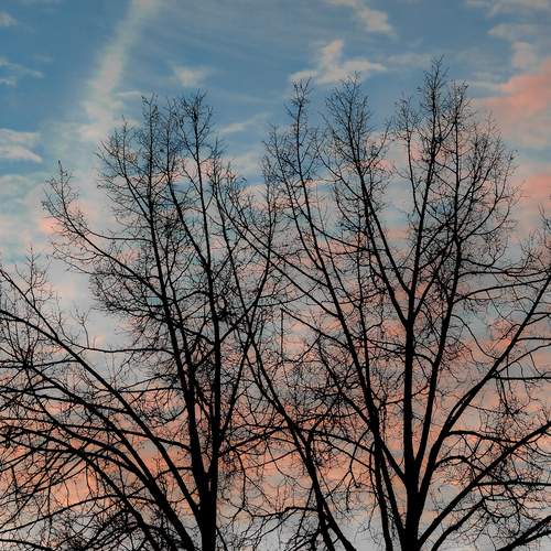 Photo #13458497