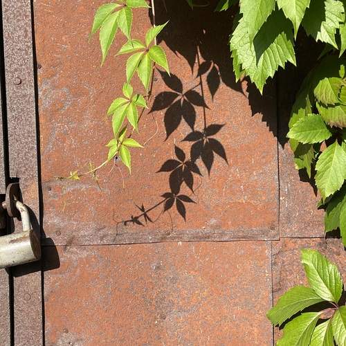 Photo #13458619
