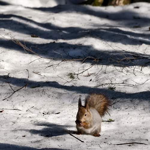 Photo #13458719